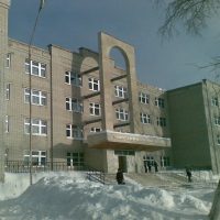 МБОУ ЦППМСП г. Николаевска-на-Амуре Хабаровского края