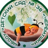 МБДОУ "Детский сад №38 "Черёмушки"