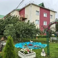 ГАУСО "Новошешминский ДИПИ" МТЗ и СЗ РТ