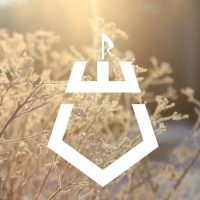 Администрация Шебекинского муниципального округа