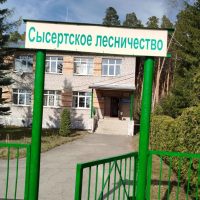 ГКУ СО "СЫСЕРТСКОЕ ЛЕСНИЧЕСТВО"