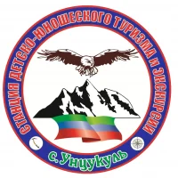 МКУ ДО "СДЮТЭ"