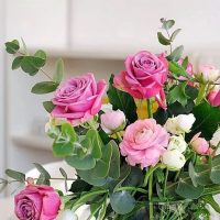 МБУДО "Детская школа искусств №5 г. Йошкар-Олы"