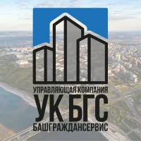 УК БГС