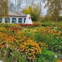 МКОУ Михайловская ООШ