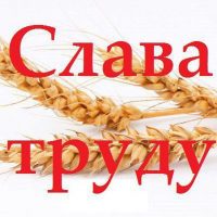 "Слава труду" Новости Кашарского района