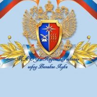 МАОУ Кадетская школа