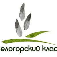 ЧОУ СОШ "Белогорский класс"