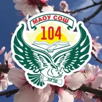 МАОУ СОШ 104