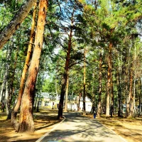 МКУ "Социально-оздоровительный центр "Утес"