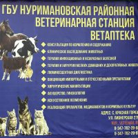 ГБУ Нуримановская райветстанция РБ