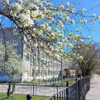 МОАУ СОШ №192 г.Свободного