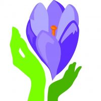 Детский сад № 9 Подснежник