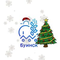Совет Буинского муниципального района