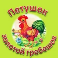 МБДОУ № 49 г. Амурска