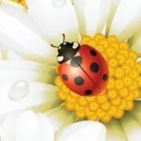 Открытки для души