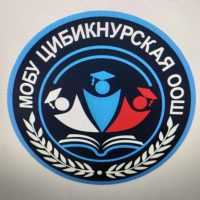 МОБУ"Цибикнурская ООШ"