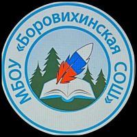МБОУ "Боровихинская СОШ"