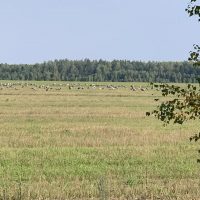 Департамент природных ресурсов и экологии Ивановской области