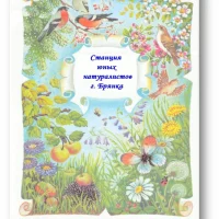 Новости ГБУ ДО ЛНР "Брянковская ГСЮН".