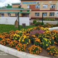 Муниципальное бюджетное дошкольное образовательное учреждение "Детский сад № 7 "Колокольчик" Бавлинского муниципального района Республики Татарстан