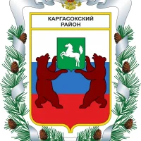 Дума Каргасокского района