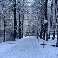 ГБОУ Гимназия №67 Петроградского района Санкт-Петербурга