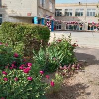 МОУ СОШ 9 с. Т-Васюковского