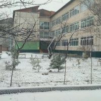 МБОУ "СОШ № 2 п. Новошахтинский"