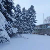 МБОУ "Октябрьская СОШ"