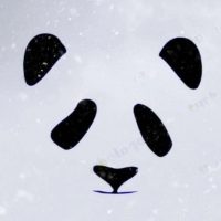 Зоопарки Мира