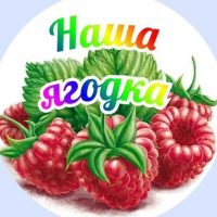 МБДОУ ДС № 5 "Ягодка"