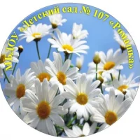 канал МБДОУ «Детский сад N 107 “Ромашка