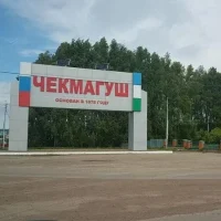 Совет сельского поселения Чекмагушевский сельсовет МР Чекмагушевский район РБ