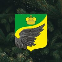 Моё Фёдоровское Z