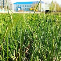 МБОУ СОШ с. Первомайский МР Стерлибашевский район