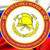 Государственная противопожарная служба РМЭ