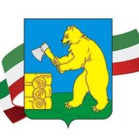 Балтасинский муниципальный район РТ