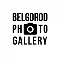 Фотогалерея им. В.А. Собровина, Белгород