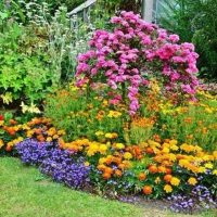 ДАЧНЫЕ ЗАМЕТКИ дача сад огород