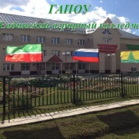 ГАПОУ "Сабинский аграрный колледж"