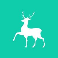 ГБУЗ НО «Городская поликлиника №4 Канавинского района г.Н Новгород»