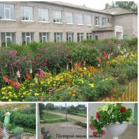 КОГОБУ СШ с. Ныр Тужинского района