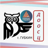 Детский спортивный центр (ДООСЦ)