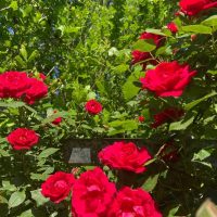 МКОУ " Бударинская ООШ"