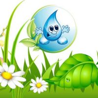 МБДОУ №20 «Росинка»