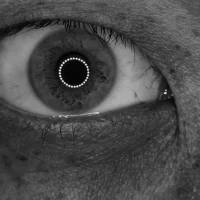 Популярная биология