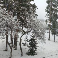 МКОУ Тогучинского района "Березиковская средняя школа"