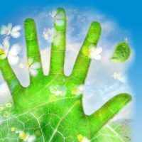 ГУЗ "СГКБ 10"