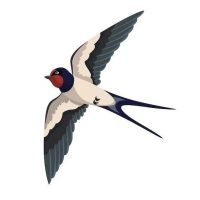 3_5_7 Ласточка🏡